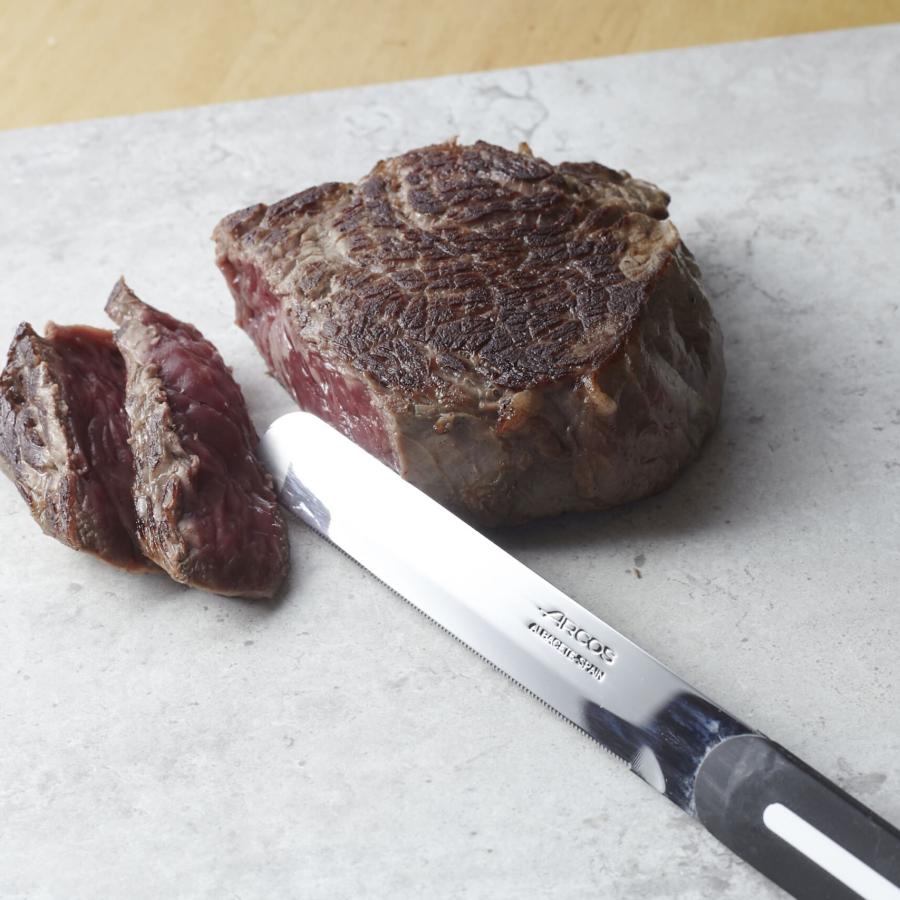 アルコス テーブルナイフ 1本 刃渡り10cm スペイン製 食洗機対応【メール便対応 ポスト】よく切れる ARCOS アルコスナイフ選べるカラー7色 | ARCOS | 15