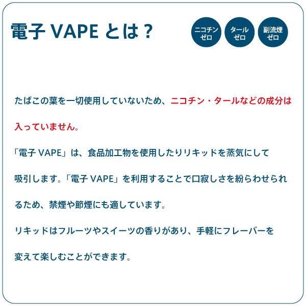 GNT 瞬間ブレス 電子 べイプ VAPE メンソール ニコチン タール 0mg 小さいデバイス お取り寄せ |  | 06