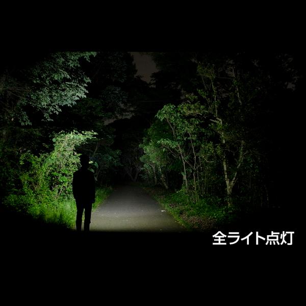 ジェントス LED ヘッドライト 電池式 充電式 ハイブリット 防水 DI-H234H|kaden-outlet|02