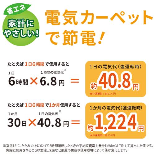 CWC151H-CW 広電 電気カーペット 1.5畳 ライトベージュ フローリング調 木目調 ホットカーペット 約176×128cm_3