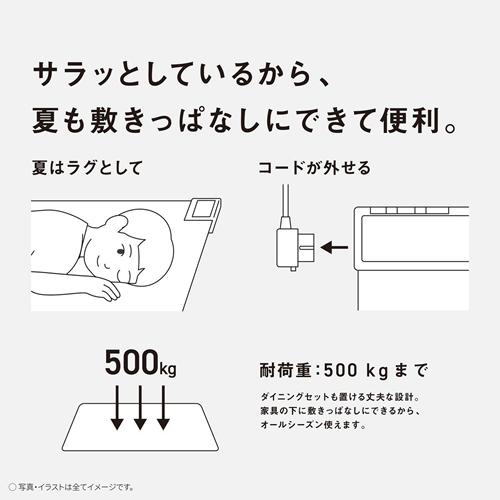 Panasonic DC-2V5-MC パナソニック フローリング調ホット Panasonic DC-2V5-MC パナソニック フローリング調ホット