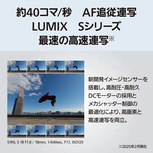 DC-S1RM2M パナソニック デジタル一眼カメラ/レンズキット LUMIX ルミックスの画像