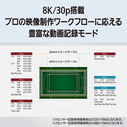 DC-S1RM2M パナソニック デジタル一眼カメラ/レンズキット LUMIX ルミックスの画像