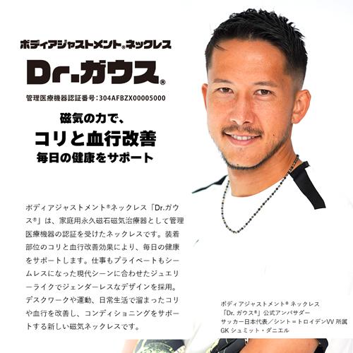 DG-S-S 加藤商会 Dr.ガウス ボディアジャストメントネックレス