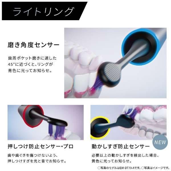 Doltz EW-DT63-S パナソニック 音波振動ハブラシ(電動歯ブラシ) ドルツ