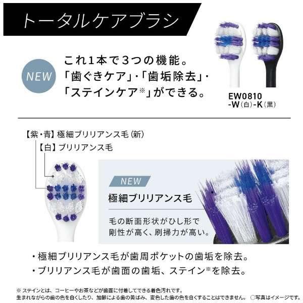 Doltz EW-DT63-S パナソニック 音波振動ハブラシ(電動歯ブラシ) ドルツ