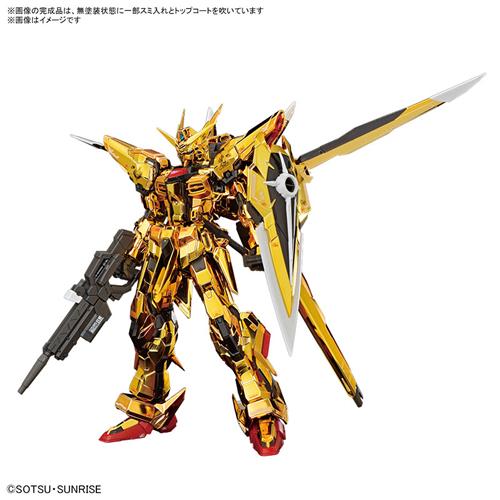 BANDAI（バンダイ） H-4573102673961 バンダイスピリッツ RG 1／144