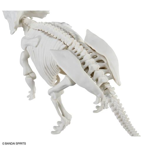 BANDAI（バンダイ） H-4573102742483 BANDAI SPIRITS プラノサウルス