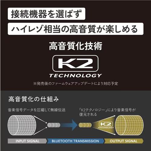 WOOD HA-FW5000T-B ビクター ワイヤレスイヤホン master（ウッド