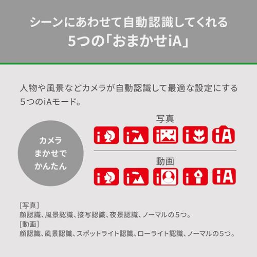 Panasonic（パナソニック） 【今なら5年延長保証加入が無料】HC-VX3-K