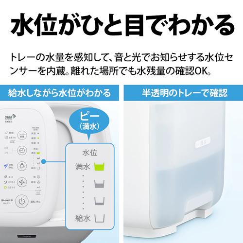 美品SHARP HV-T75-T 24年製 加湿空気清浄機 プラズマクラスター 美