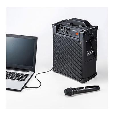 SANWA SUPPLY（サンワサプライ） MM-SPAMP10 ワイヤレスマイク