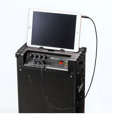 SANWA SUPPLY（サンワサプライ） MM-SPAMP10 ワイヤレスマイク