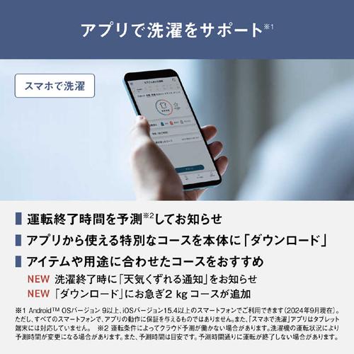 Panasonic NA-LX129DR-C パナソニック ななめドラム洗濯乾燥機