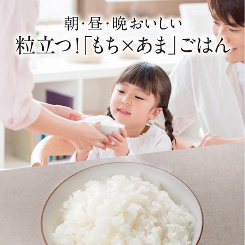炭炊釜 NJ-SE06H-B 三菱 3.5合炊き IHジャー炊飯器 黒曜（こくよう