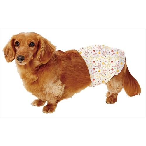 22新発 P ペティオ ポケモン エチケットパンツ 男の子 ｓ Riosmauricio Com