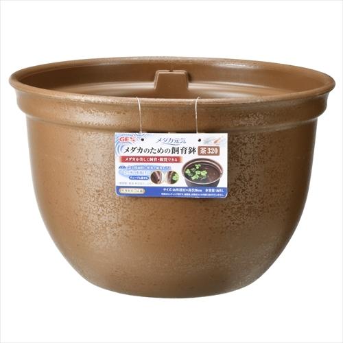 ファッション通販 P ジェックス メダカ元気メダカのための飼育鉢茶３２０