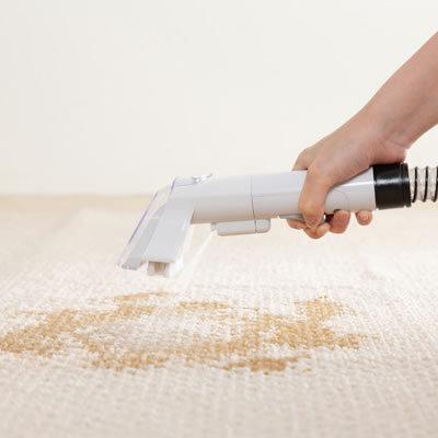 IRIS OHYAMA RNS-P10-W 布製品クリーナー リンサークリーナー 自動散水 温水洗浄 RNS-P10-W カーペット