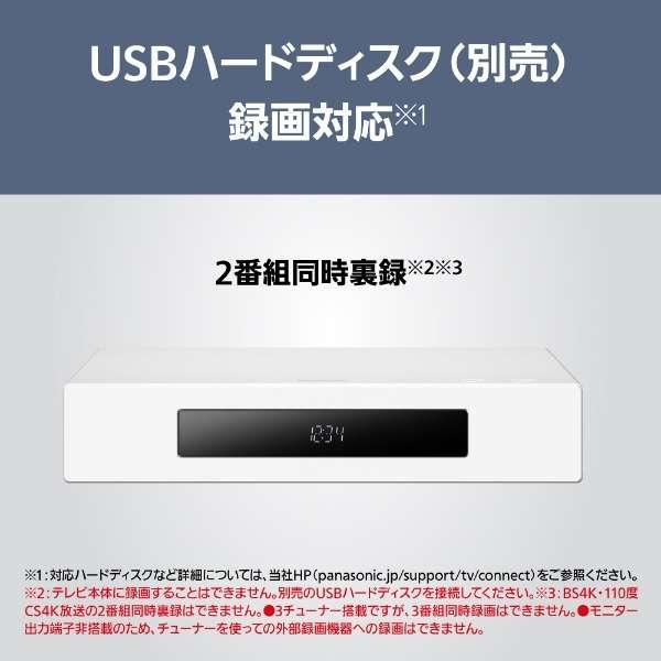 VIERA TH-55LW1L パナソニック 55V型 4K有機ELテレビ ウォール VIERA TH-55LW1L パナソニック 55V型 4K有機ELテレビ ウォール