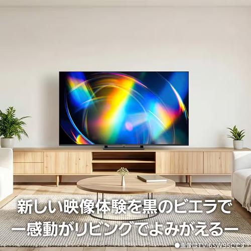VIERA 【今なら5年延長保証加入が無料】TV-55W95C パナソニック 55V型