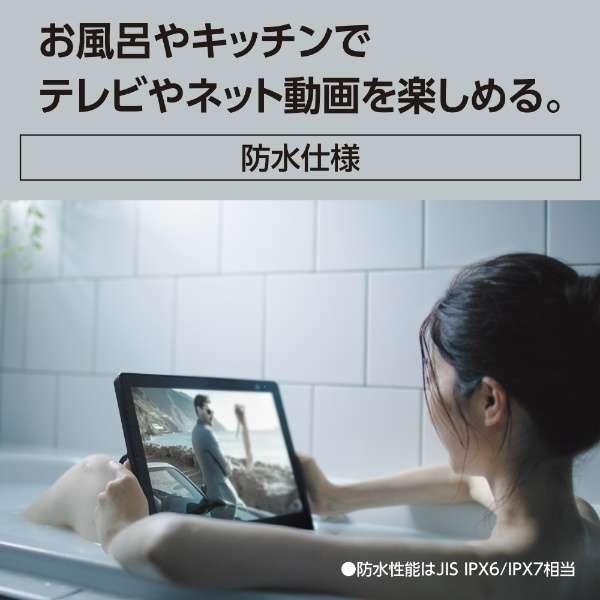 プライベート・ビエラ UN-15L12H パナソニック 15V型 ポータブルテレビ