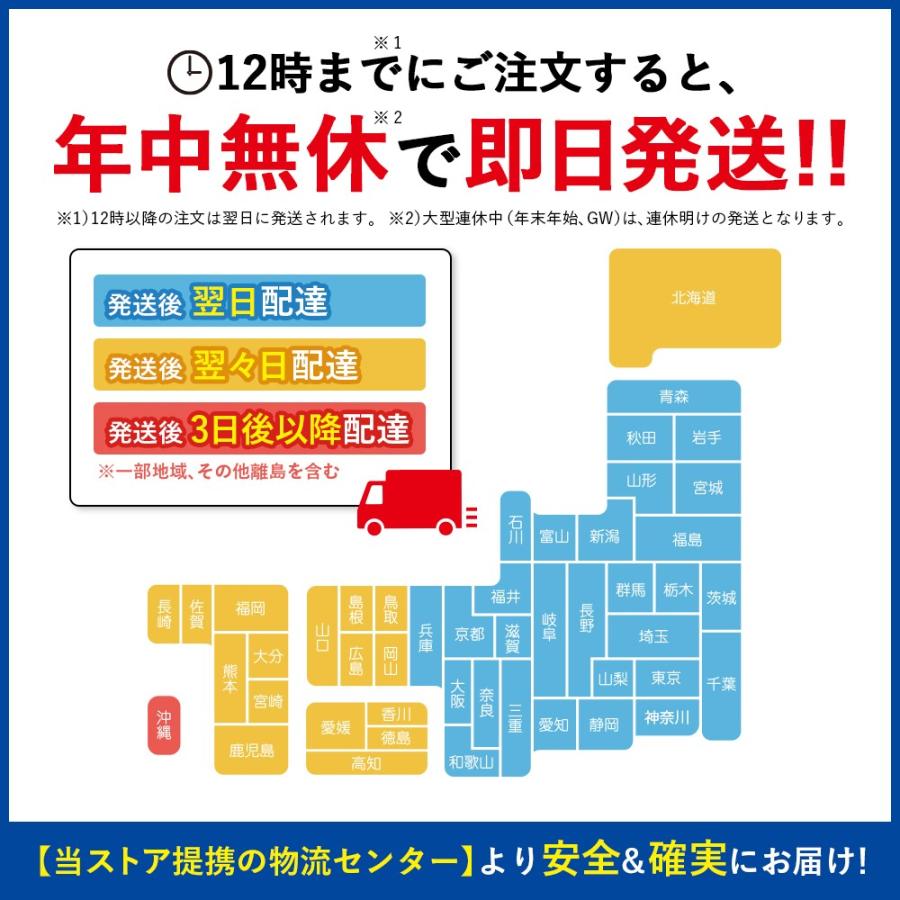 CASIO（カシオ） 【当店1年保証】CASIO NP-80 リチャージャブル