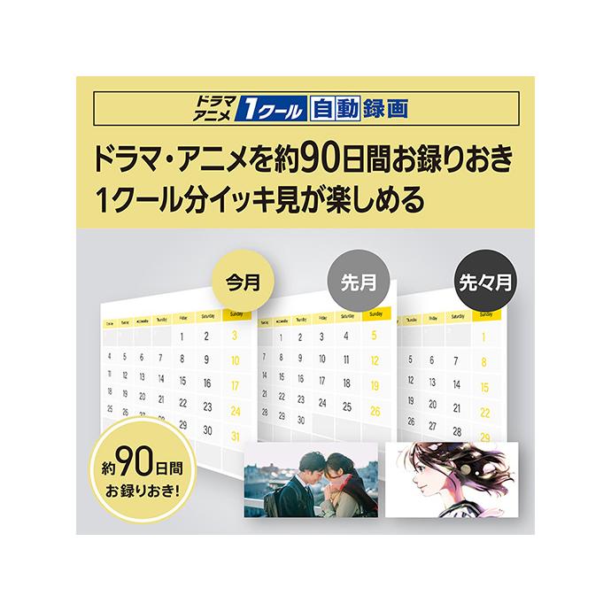 DIGA Panasonic ブルーレイレコーダー 全自動 ディーガ DMR DIGA Panasonic ブルーレイレコーダー 全自動 ディーガ DMR