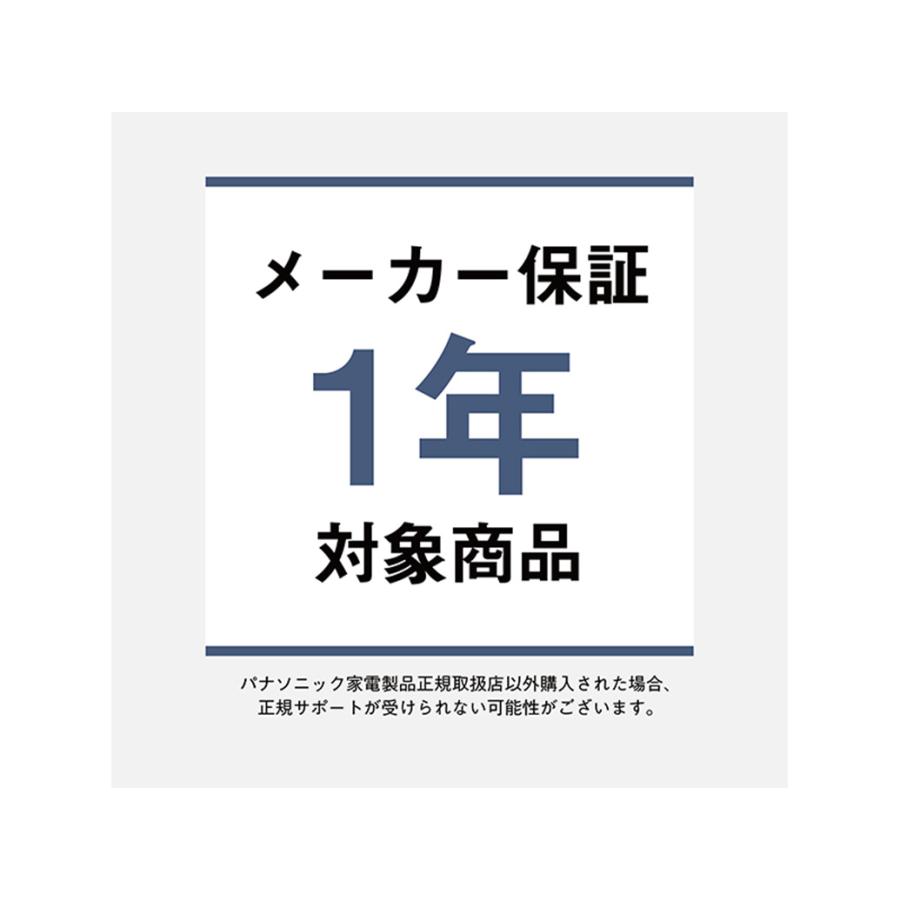 Technics Panasonic 完全ワイヤレスイヤホン EAH-AZ100-S Technics Panasonic 完全ワイヤレスイヤホン EAH-AZ100-S