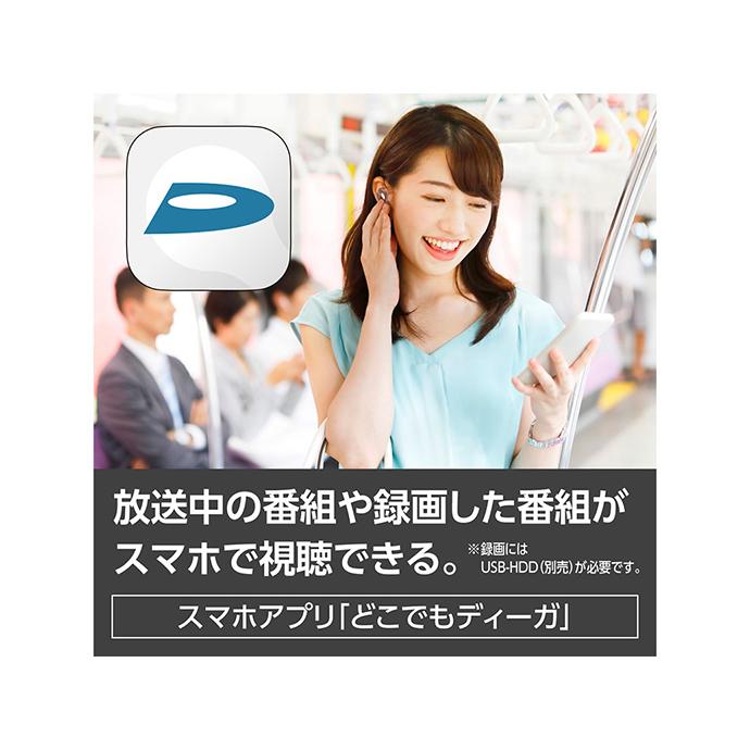 プライベート・ビエラ Panasonic UN-19FB10H プライベート・ビエラ 19V