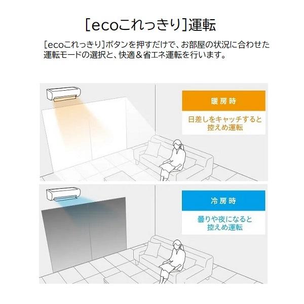 白くまくん 日立 6畳相当エアコン RAS-W22R-W(スターホワイト／2024年