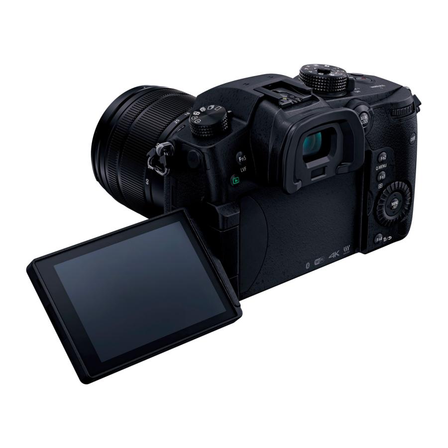 ■LUMIX DC-GH5M 標準ズームレンズキット LUMIX Gシリーズ 在庫処分 新品 パナソニック DC-GH5M 標準