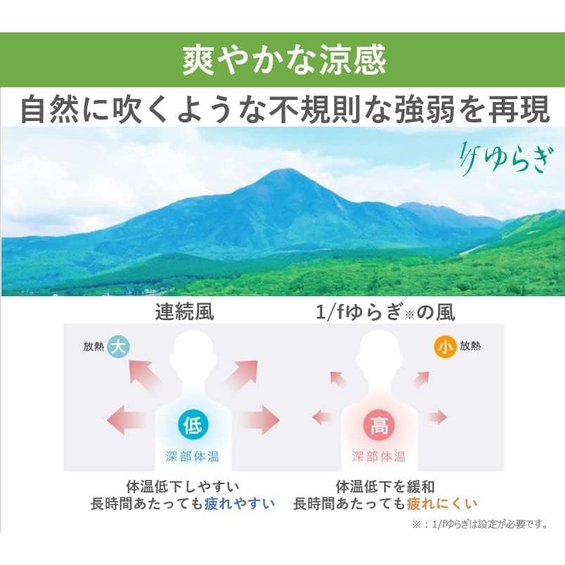 Panasonic 即納 限定特価 リビング扇風機 F-CW324-W