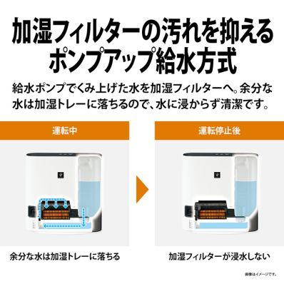 プラズマクラスター 即納します シャープ HX-TK12-W 加湿 プラズマクラスター 即納します シャープ HX-TK12-W 加湿