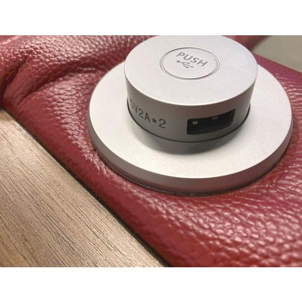 ニトリ 電動リクライニングソファ Nストラス 2人掛け 本革