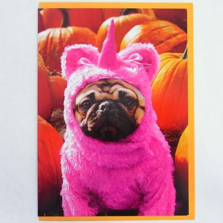 ハロウィンカード ピンクコスチュームパグ Avanti パグ 犬 秋 Halloweenメッセージ ギフトカード グリーティング hh Kaderia Yahoo店 通販 Yahoo ショッピング