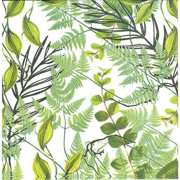 10枚ペーパーナプキン 植物 Botanical Paper Products Design Ppd ペーパープロダクトデザイン ランチサイズ 白地 10 Kaderia 通販 Yahoo ショッピング