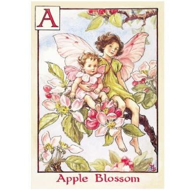 ポストカードアップルロッサムフェアリーapple Blossom Fairies Flower Fairy フラワーフェアリー桜の妖精 メッセージカード絵葉書 Ff 021 Kaderia Yahoo店 通販 Yahoo ショッピング