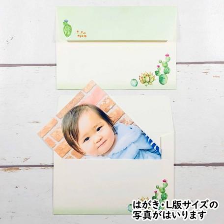 レターセット サキュレント 多肉植物 サボテン 10枚入り[FRONTIA