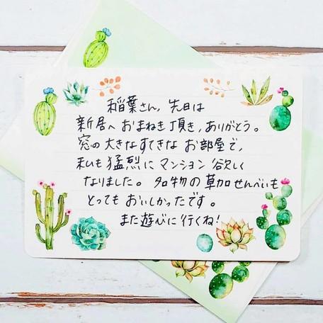 レターセット サキュレント 多肉植物 サボテン 10枚入り[FRONTIA