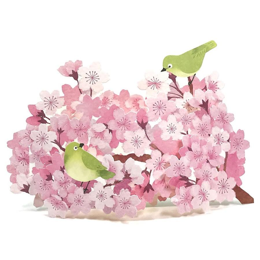P4416 立体カード 多目的さくらカード 桜とうぐいす Sanrio サンリオ カード グリーティングカード さくら P4311 Kaderia Yahoo店 通販 Yahoo ショッピング