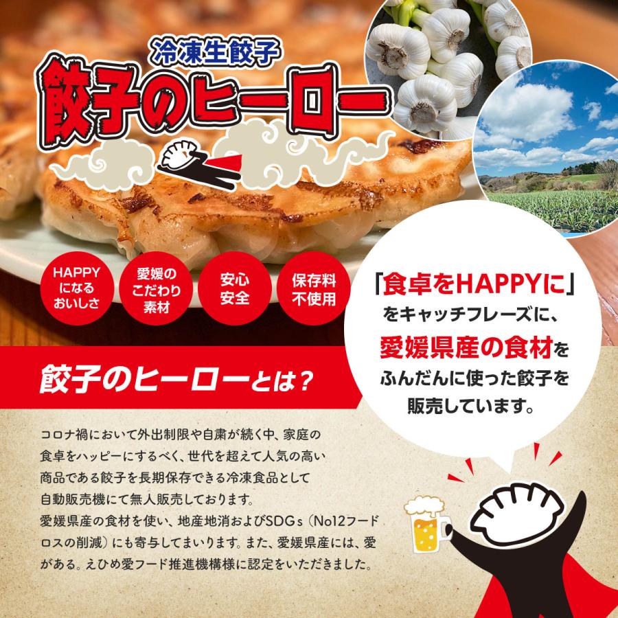 餃子 冷凍生餃子 生餃子 元祖えひめ餃子 餃子のヒーロー 60個入 ご当地餃子 愛媛県産餃子 ぎょうざ ギョウザ 保存料不使用 お取り寄せ 冷凍総菜 国産 |  | 01