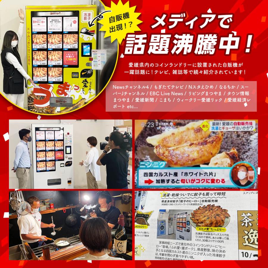 餃子 冷凍生餃子 生餃子 元祖えひめ餃子 餃子のヒーロー 60個入 ご当地餃子 愛媛県産餃子 ぎょうざ ギョウザ 保存料不使用 お取り寄せ 冷凍総菜 国産 |  | 08