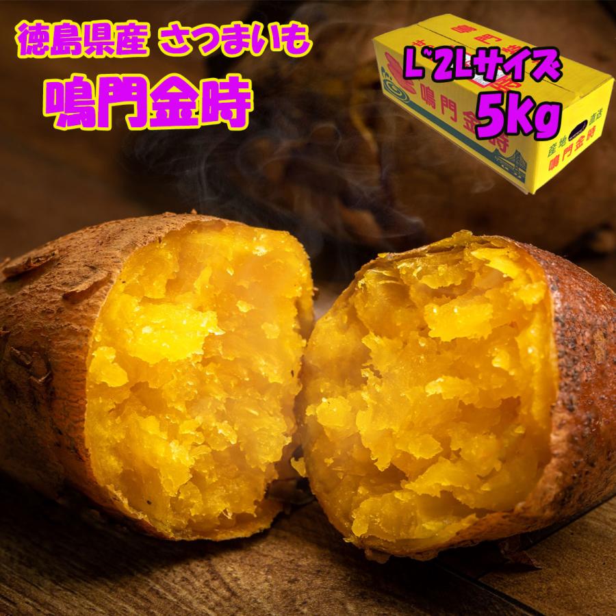さつまいも 鳴門金時 Lサイズ 2Lサイズ 5kg なると金時 徳島県産  サツマイモ なるときんとき お取り寄せ 取寄  国産 焼き芋 焼芋 | 