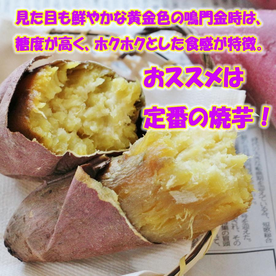 さつまいも 鳴門金時 Lサイズ 2Lサイズ 5kg なると金時 徳島県産  サツマイモ なるときんとき お取り寄せ 取寄  国産 焼き芋 焼芋｜kadota-works｜05