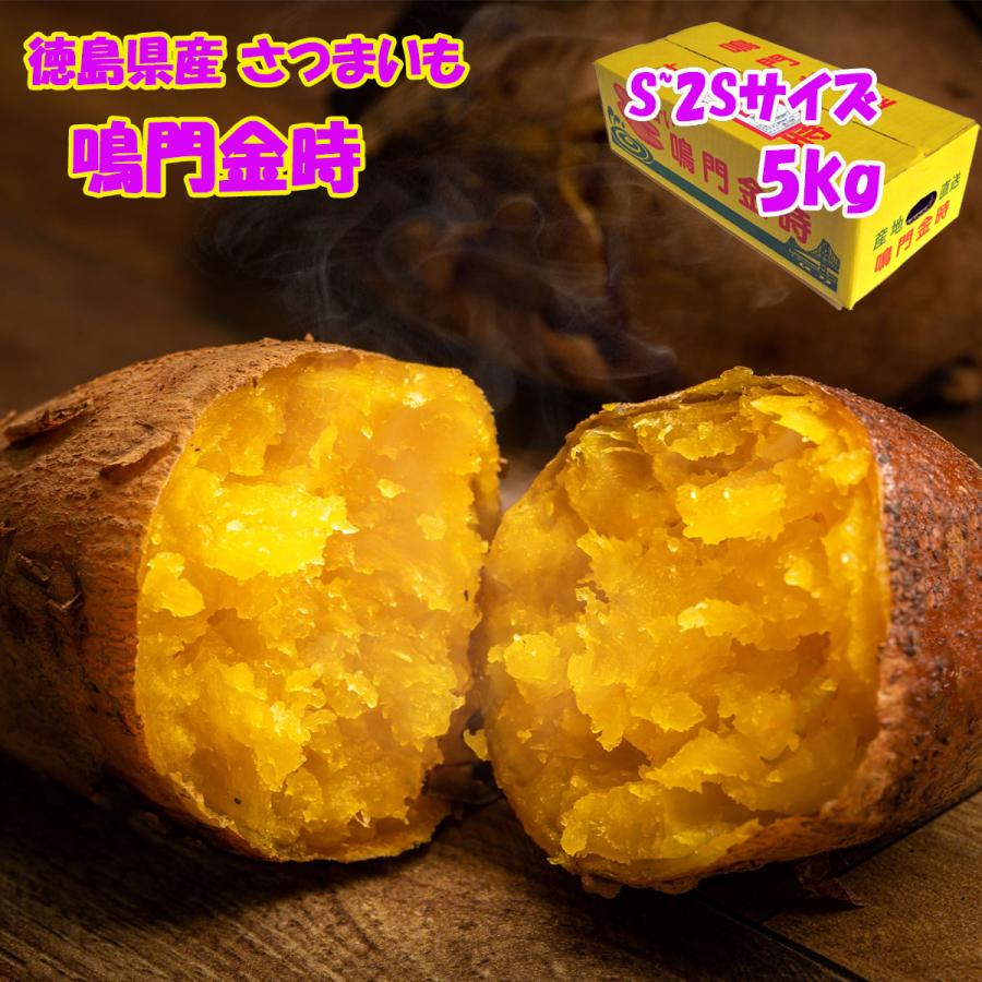 さつまいも 鳴門金時 Sサイズ 2Sサイズ 5kg なると金時 徳島県産 サツマイモ なるときんとき お取り寄せ 取寄  国産 焼き芋 焼芋 金時芋 金時 きんときいも | 