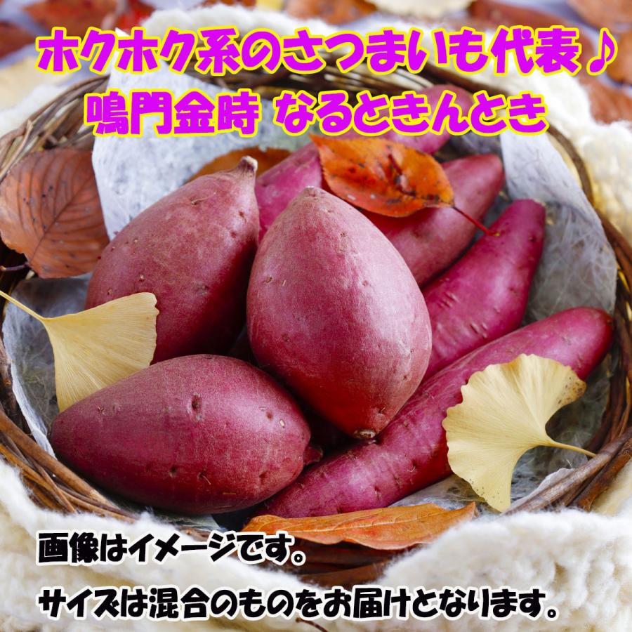 さつまいも 鳴門金時 Sサイズ 2Sサイズ 5kg なると金時 徳島県産 サツマイモ なるときんとき お取り寄せ 取寄  国産 焼き芋 焼芋 金時芋 金時 きんときいも |  | 02