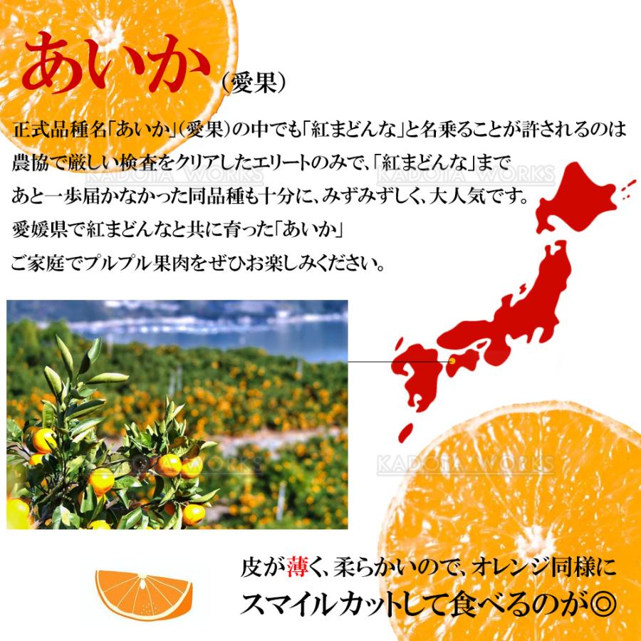愛媛県産 愛果 あいか  紅まどんな 同等品種 L~3Lサイズ  2.5kg 愛媛みかん みかん お取り寄せ 取寄 国産 |  | 02
