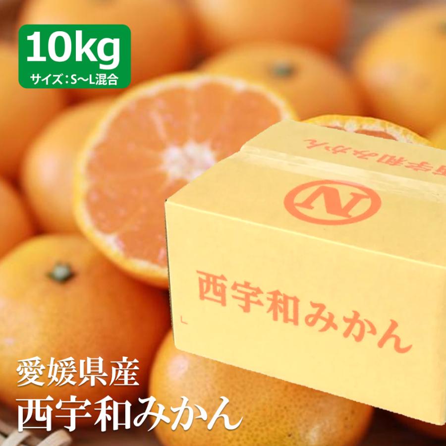 愛媛県 西宇和産 温州 みかん  S〜Lサイズ 10kg 愛媛みかん 柑橘 温州みかん お取り寄せ 取寄 国産 訳あり 家庭用 不揃い | 