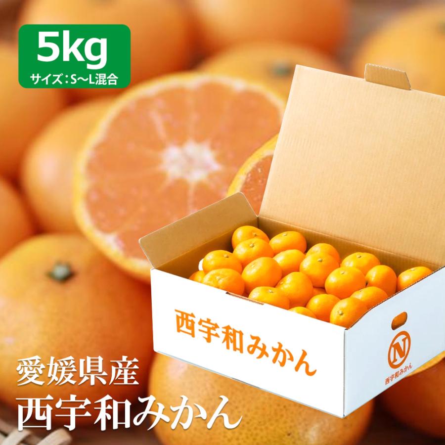 愛媛県 西宇和産 温州 みかん  S〜Lサイズ ５kg 愛媛みかん 柑橘 温州みかん お取り寄せ 取寄 国産 訳あり 家庭用 不揃い | 