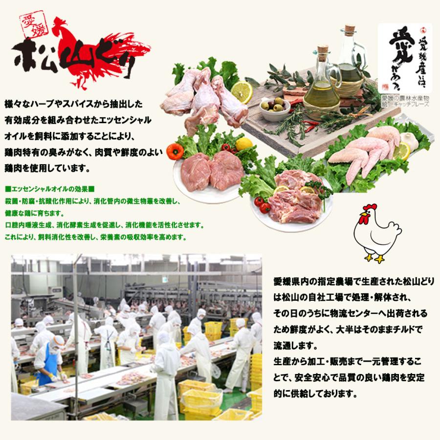 にんにく不使用 とりしそ 餃子 冷凍生餃子 生餃子 元祖えひめ餃子 餃子のヒーロー 90個入 ご当地餃子 愛媛県産餃子 ぎょうざ ギョウザ 保存料不使用 お取り寄せ |  | 02